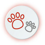 13-ICON_Animali domestici