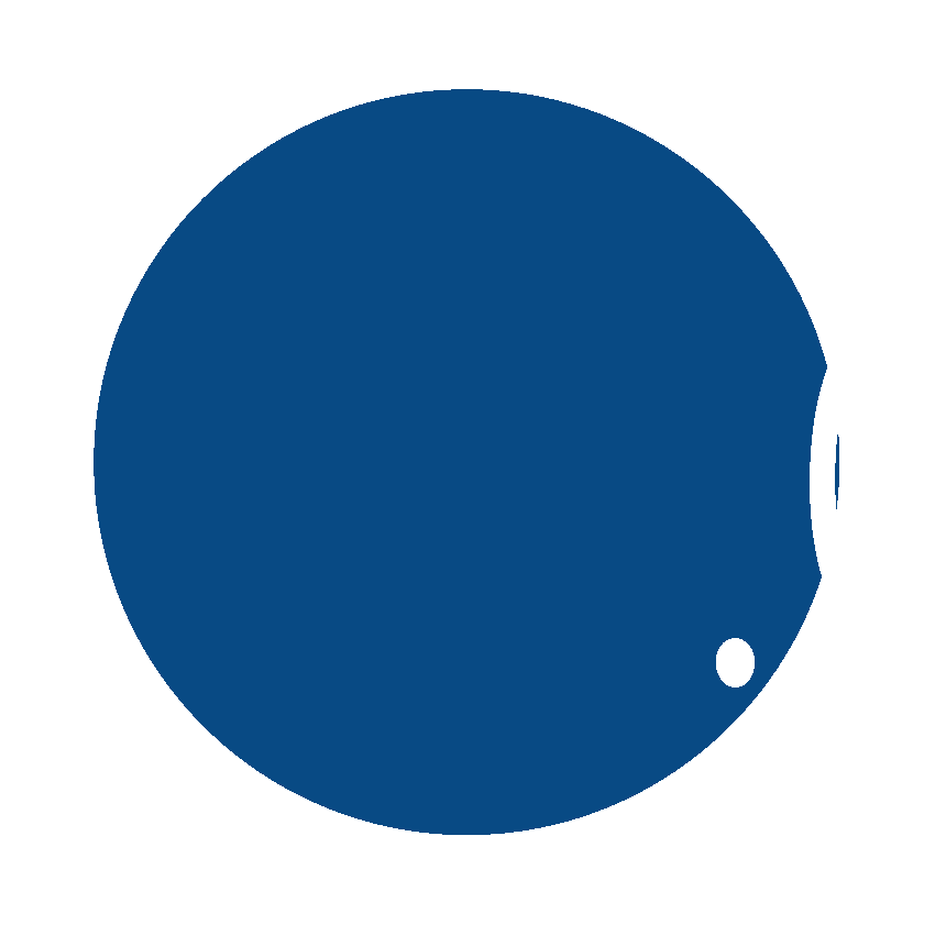 Animazione Logo C21