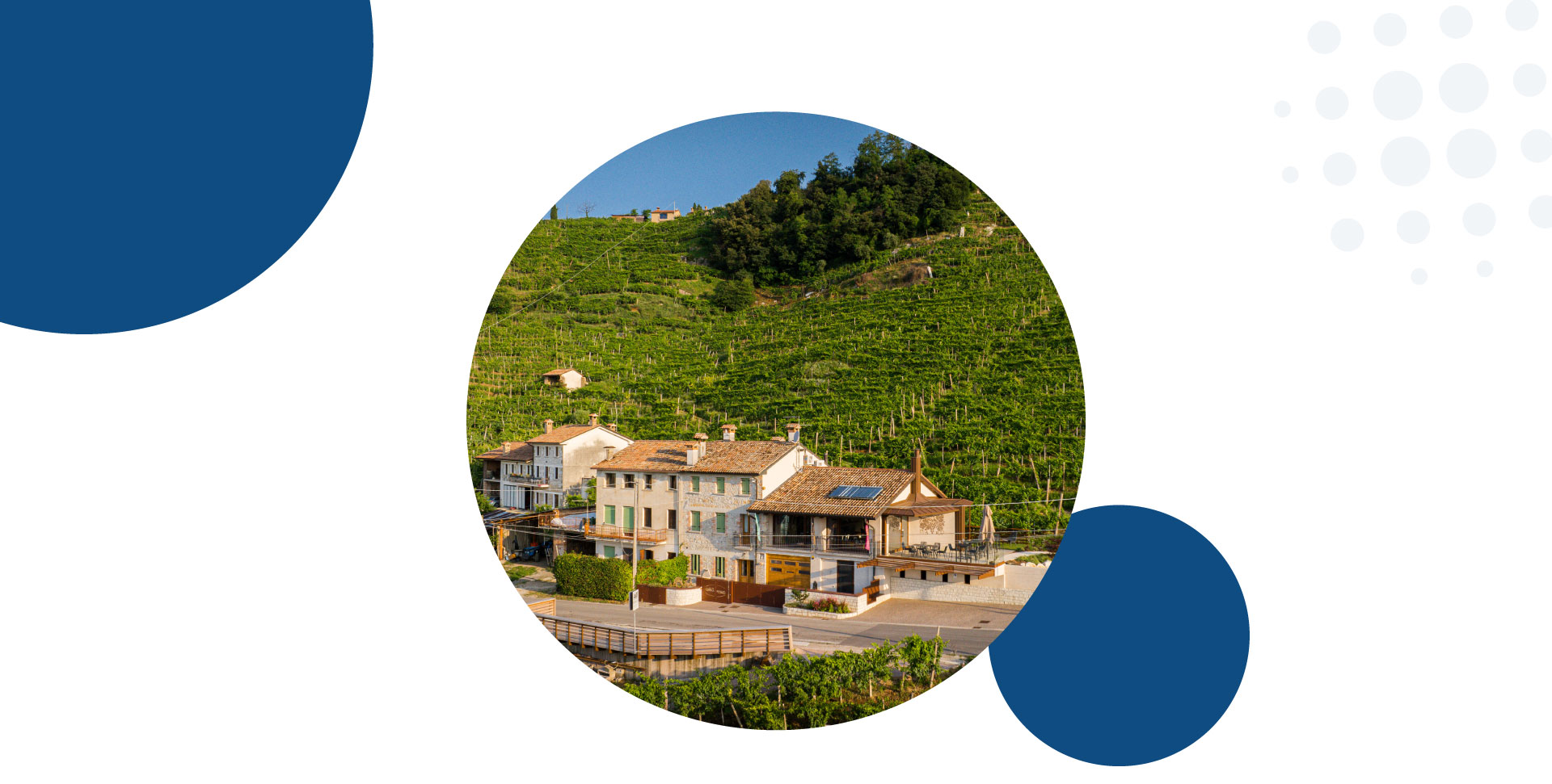 Banner-Antica-Rinaldo