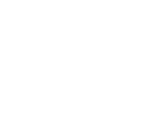 Logo-wall·ai_bianco