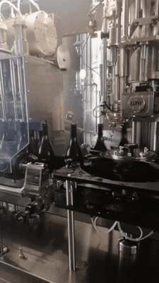 GIf 1